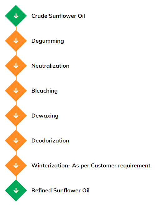 sunflower-oil-process-palnt